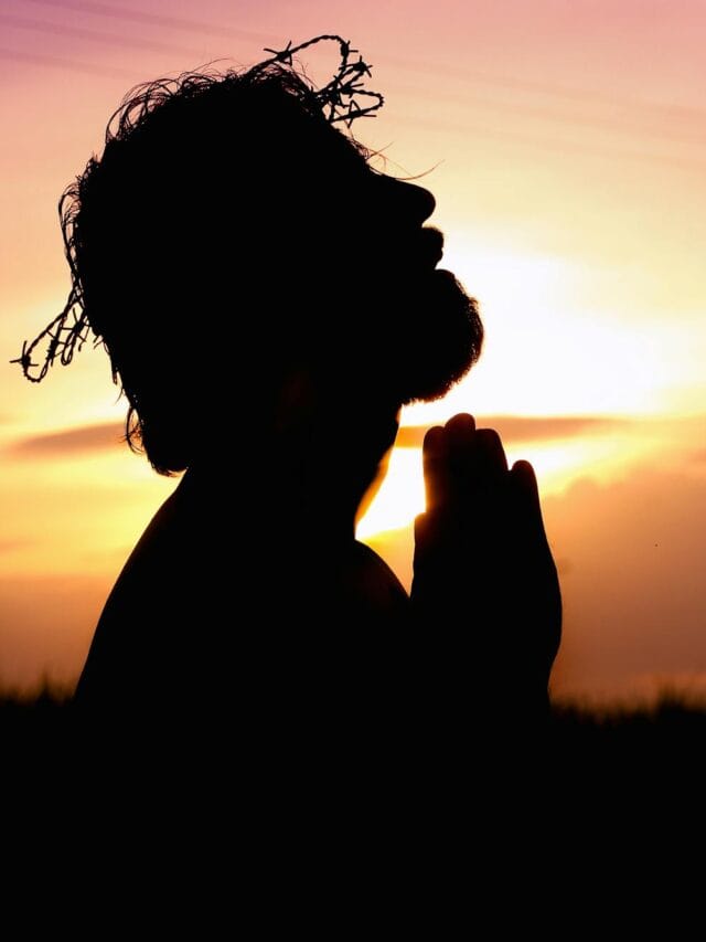 Ratha Saptami: 5 Divine Blessings from the Sun!
